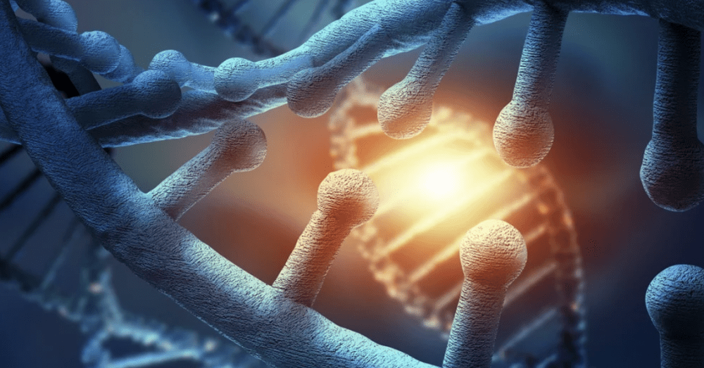 Kök Hücre ile Serebral Palsi Tedavisi