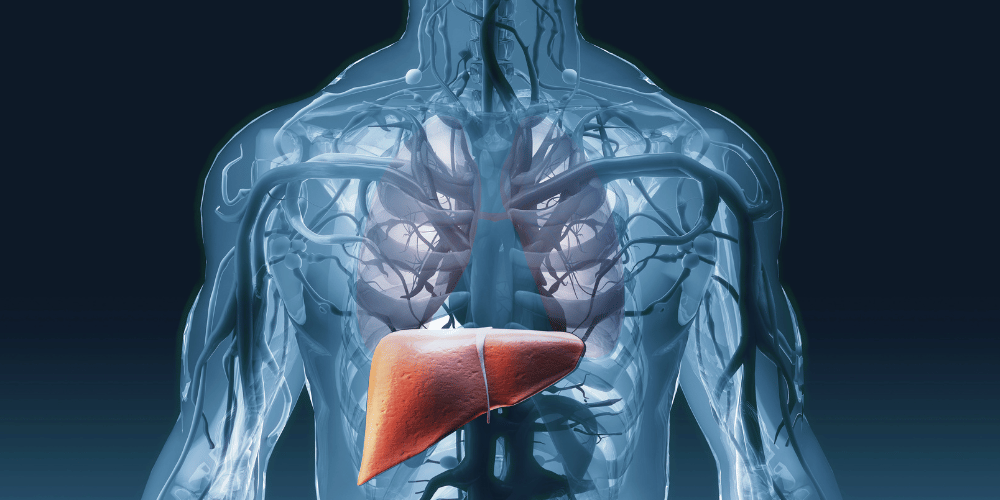Kök Hücre ile Siroz Tedavisi