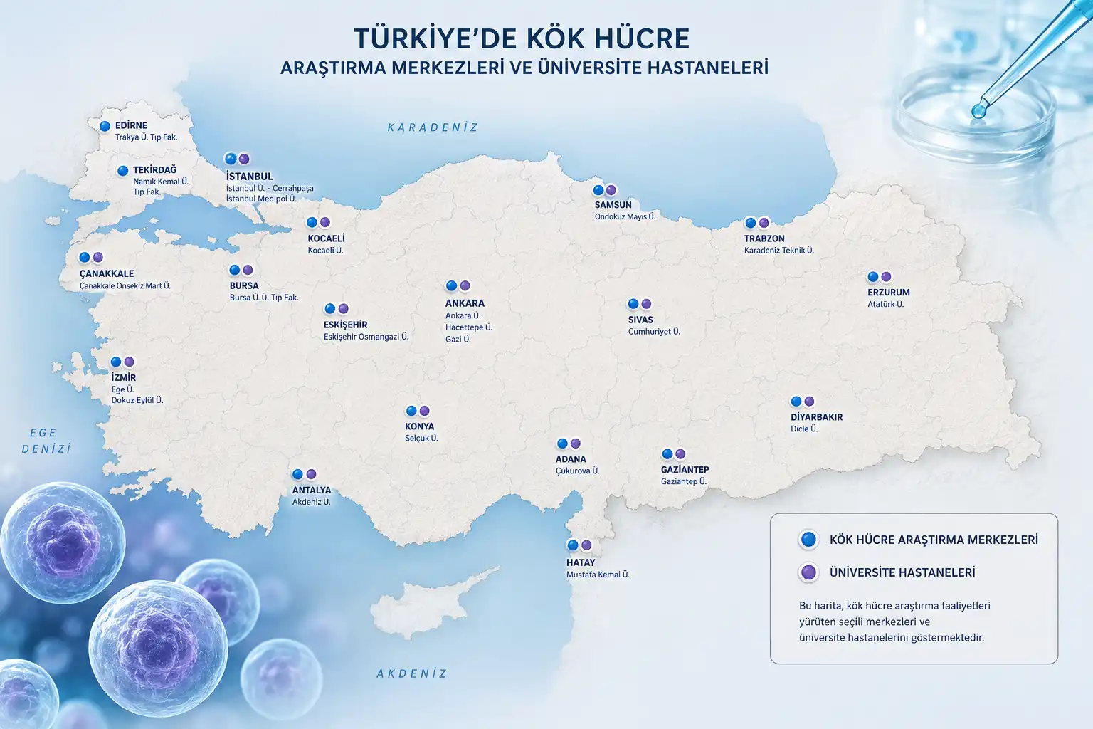 Kök Hücre Tedavisi Türkiye’de Var Mı? 2026 Güncel